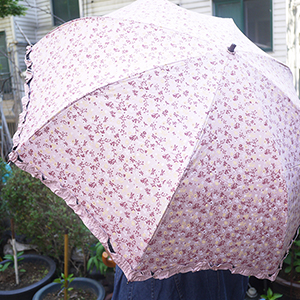 ��ǰ�̹���