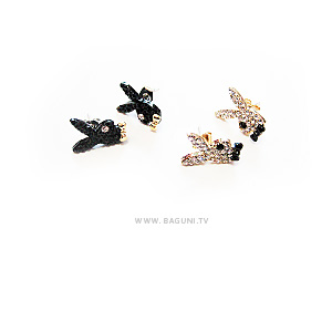 ��ǰ�̹���